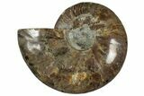 Cut & Polished Ammonite Fossil (Half) - Madagascar #318027-1